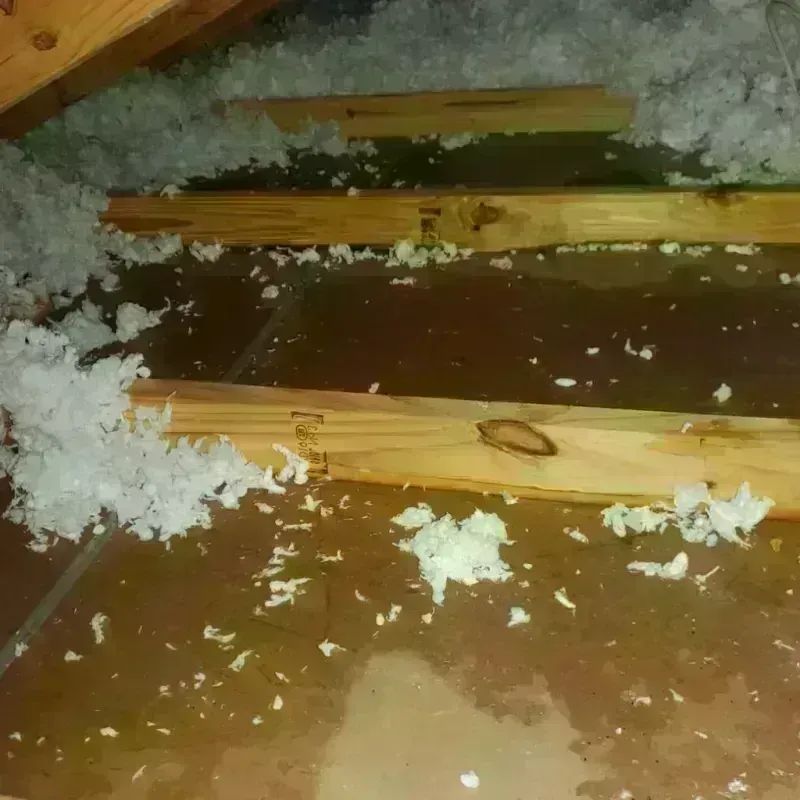 Attic Water Damage in Santa Clarita, CA